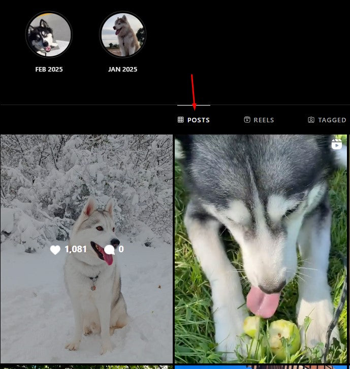 Post/Reel for 90Days